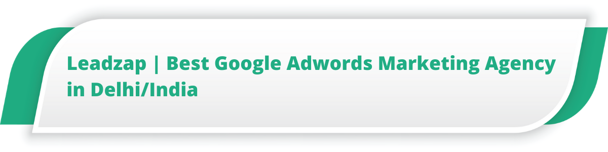 Leadzap | Best Google Adwords Marketing Agency in Delhi/India